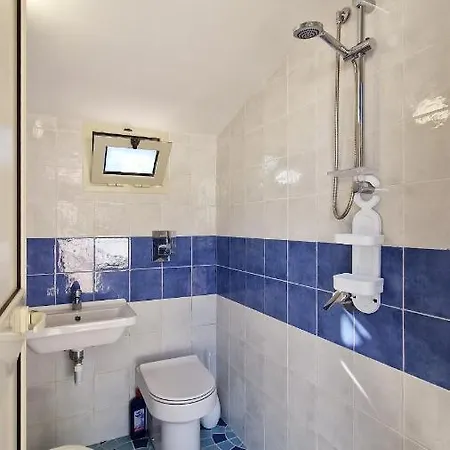 Sceusa *